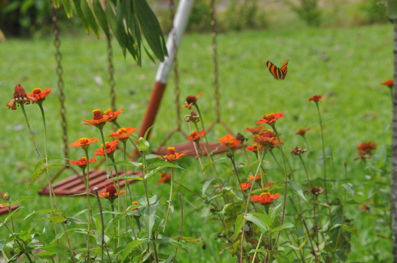 Hospedaje Amanecer Bed & Breakfast Turrialba Bagian luar foto