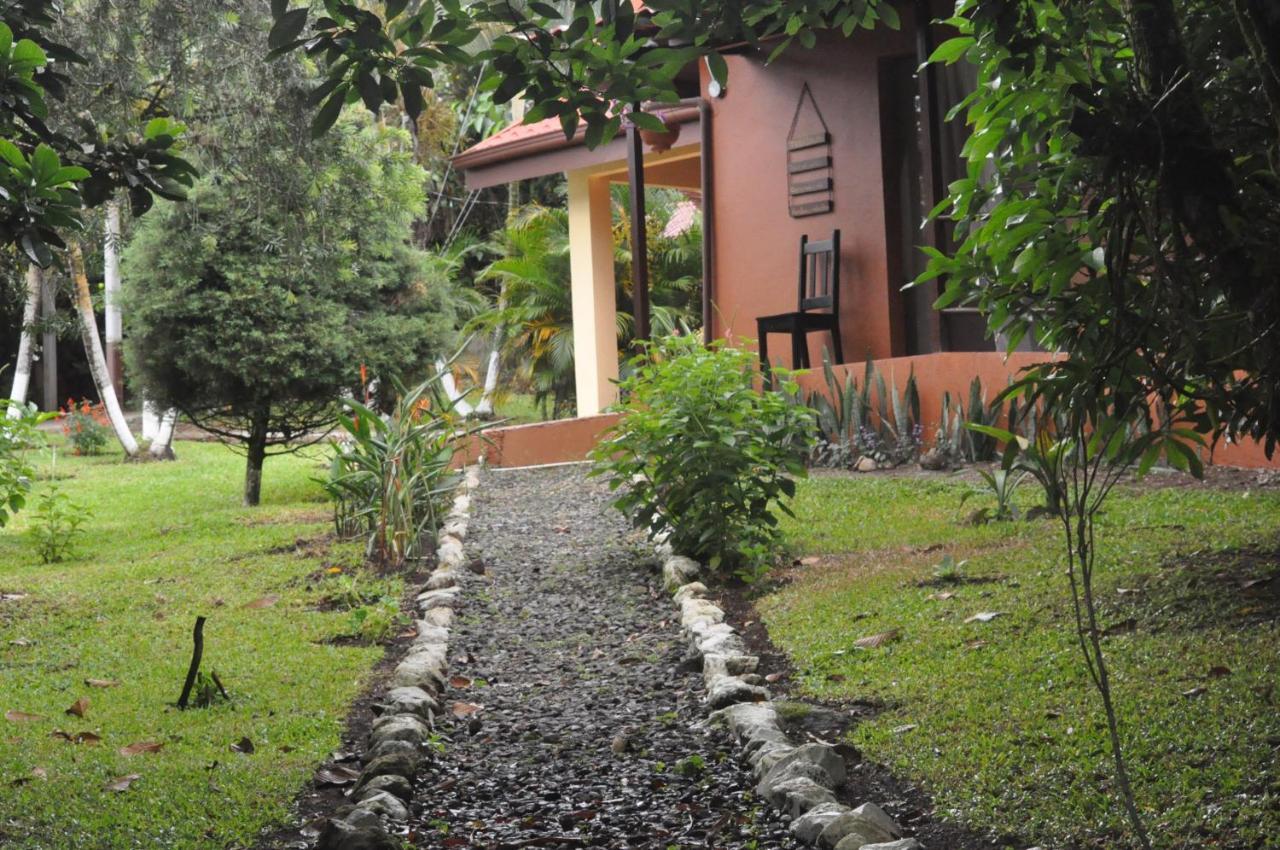 Hospedaje Amanecer Bed & Breakfast Turrialba Bagian luar foto