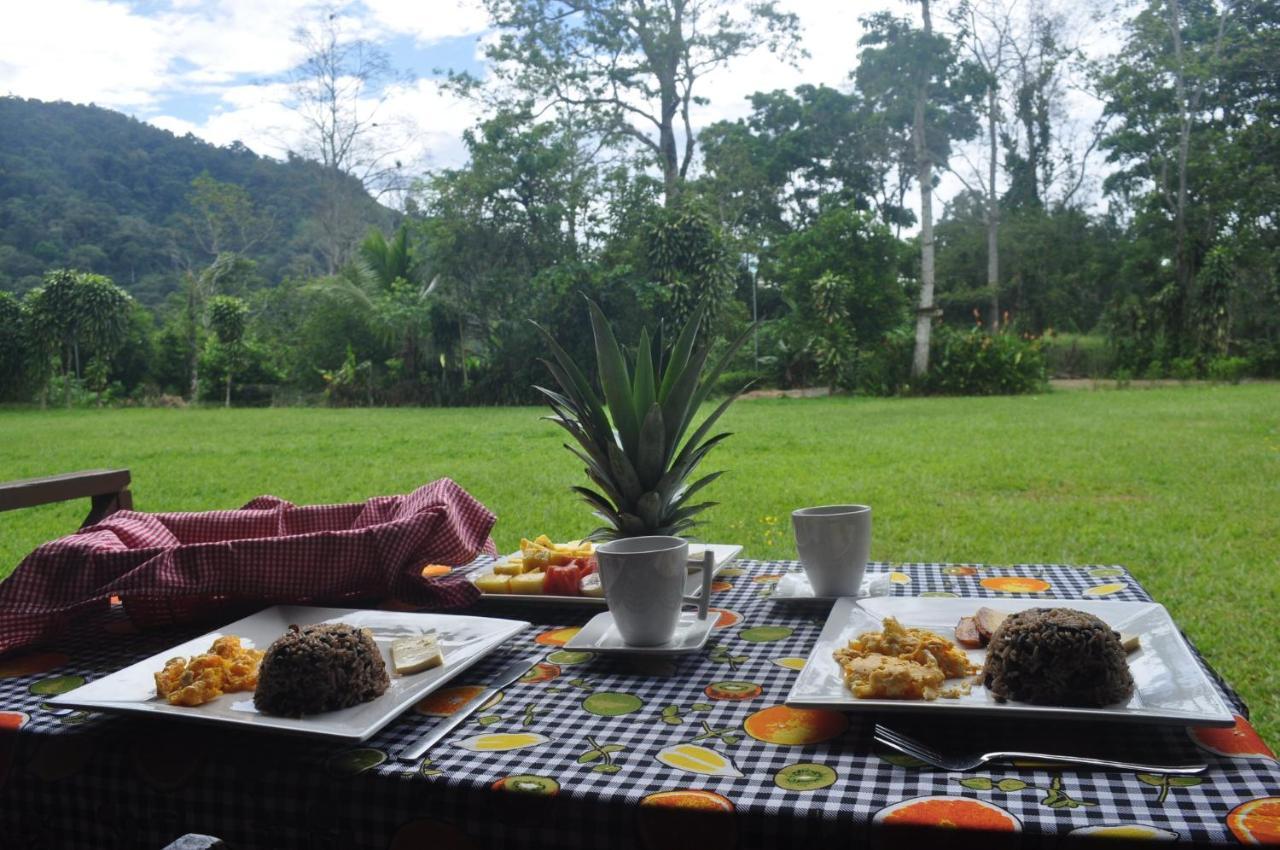 Hospedaje Amanecer Bed & Breakfast Turrialba Bagian luar foto