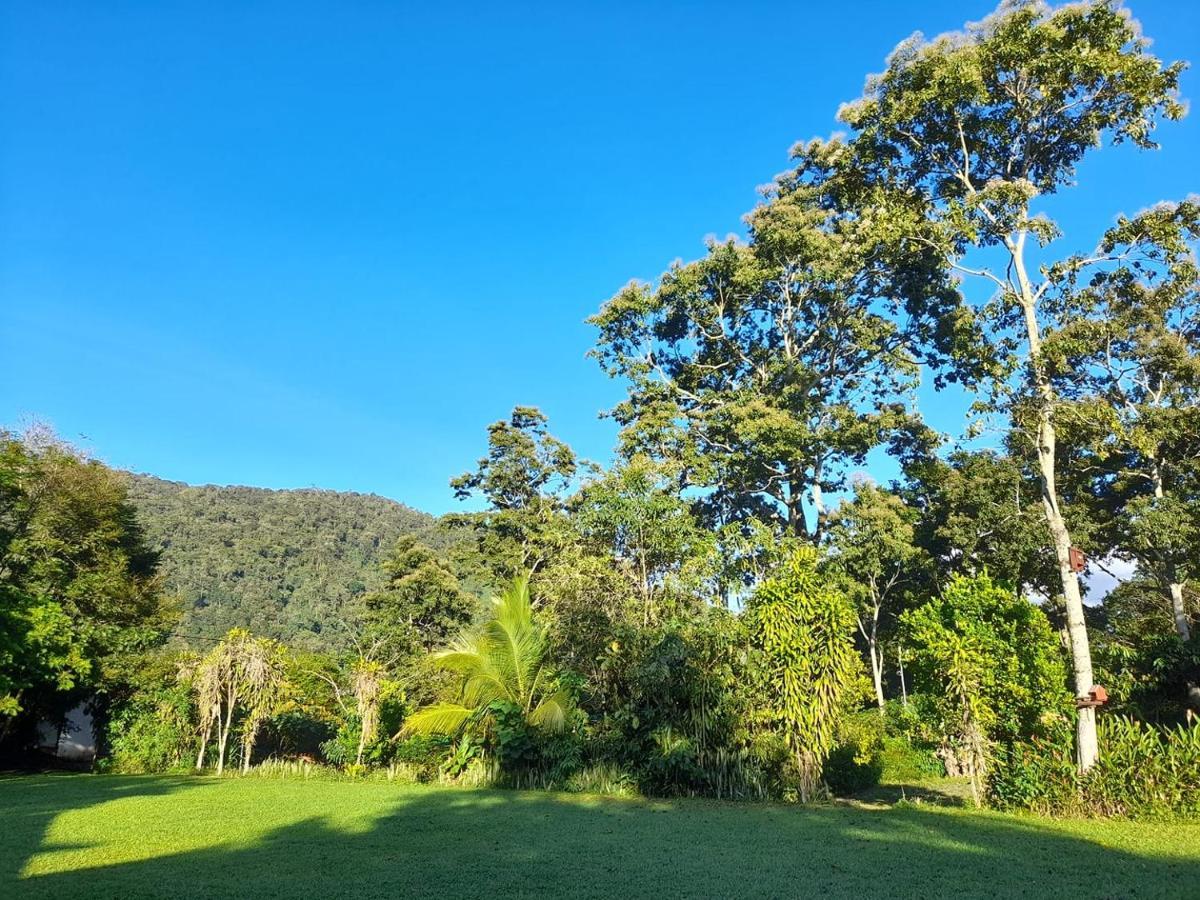 Hospedaje Amanecer Bed & Breakfast Turrialba Bagian luar foto