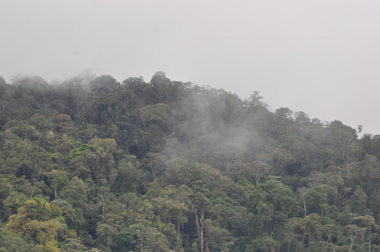 Hospedaje Amanecer Bed & Breakfast Turrialba Bagian luar foto