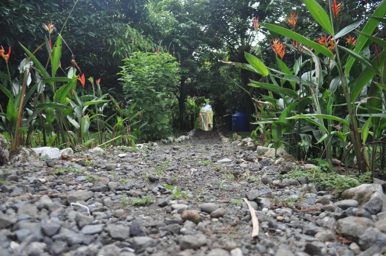 Hospedaje Amanecer Bed & Breakfast Turrialba Bagian luar foto