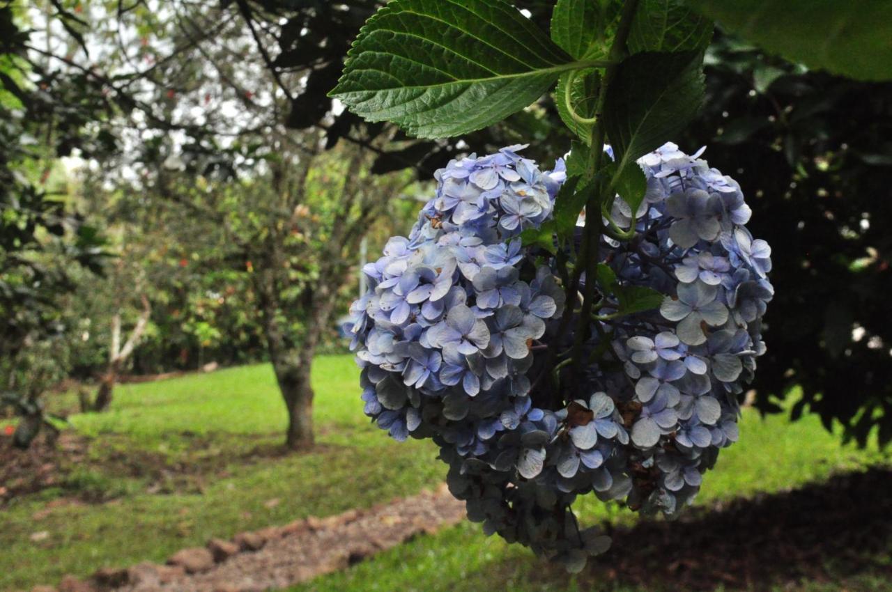 Hospedaje Amanecer Bed & Breakfast Turrialba Bagian luar foto